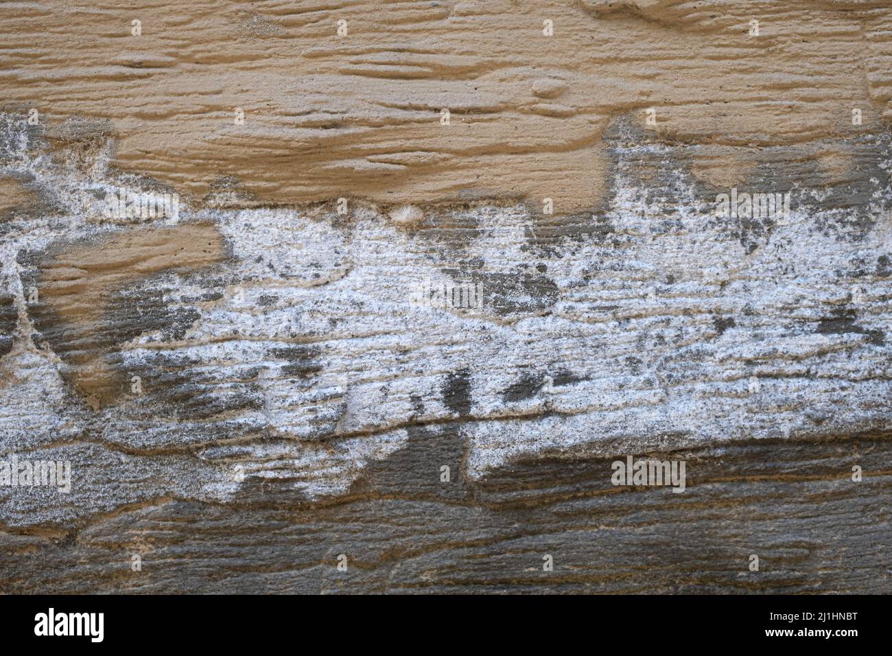 Abstract background from old and dirty concrete texture Stock Photo