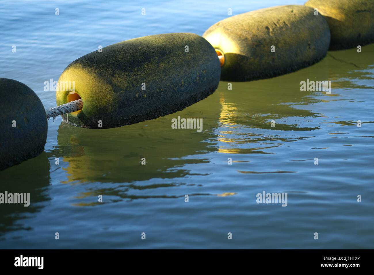 Floating booms over calm sea, lit but early morning sun, with numerous ...