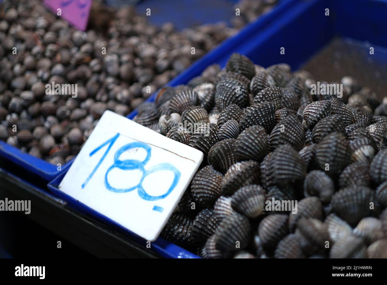 Heap of fresh mollusks, with price-tag, on a counter of a sea-food market Stock Photo