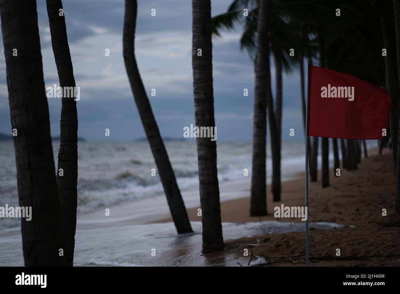 Warning: rough sea! Red flag is fluttering among a palm trees, with heavy waves under grey sky behind them Stock Photo