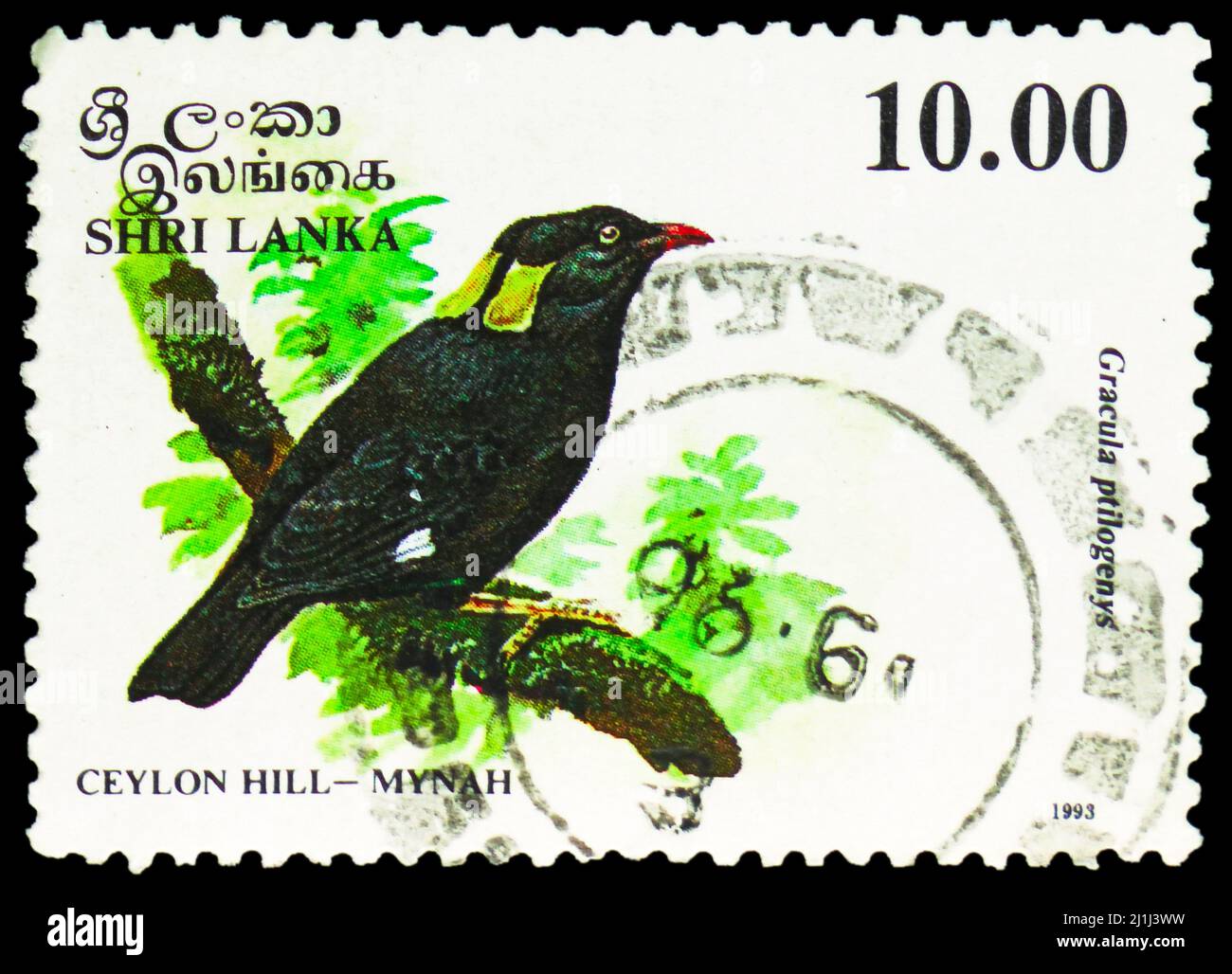 MOSCOW, RUSSIA - MARCH 12, 2022: Postage stamp printed in Sri Lanka ...