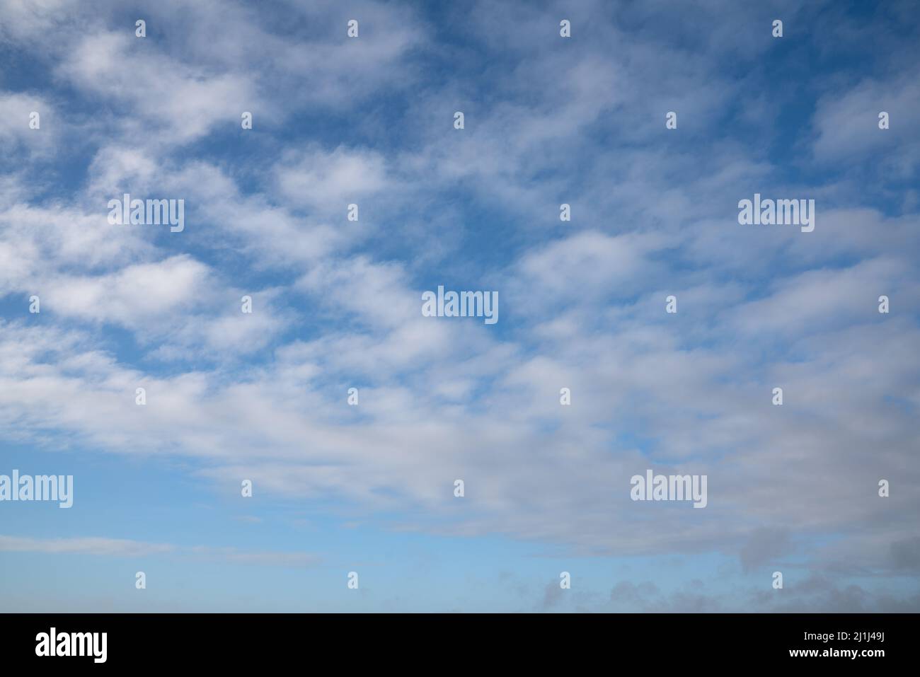 View to sky with fleecy clouds Stock Photo