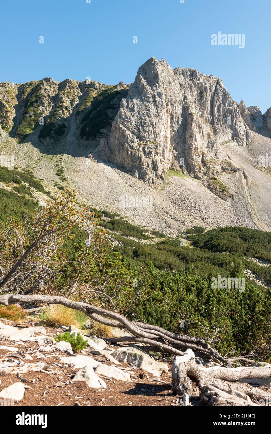 The majestic beautiful marble Sinanitsa Lateral Ridge in Pirin National Park and Reserve, Pirin Mountain, Bulgaria, Balkans, Europe Stock Photo