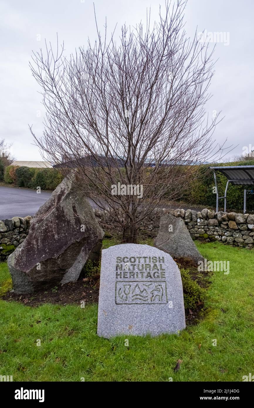 Newton Stewart, Scotland - December 30th 2021: SNH Scottish Natutal Heritage logo on a stone at the office Stock Photo