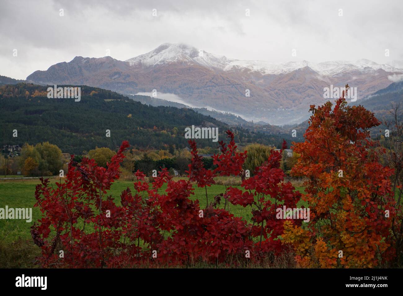 colorful foliage in Serre Ponçon, Southern Alps, France with Les Orres resort Stock Photo