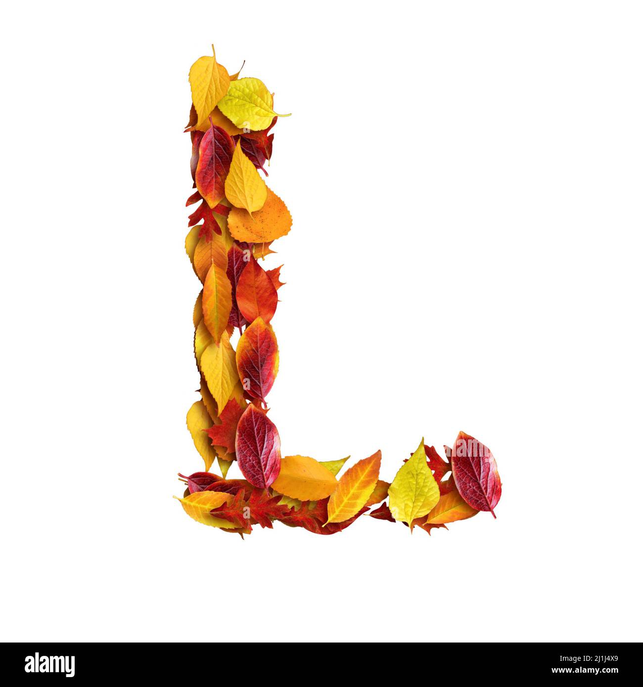 3d alphabet made of leaves, autumn, 3d render on white background, uppercase letter L Stock Photo