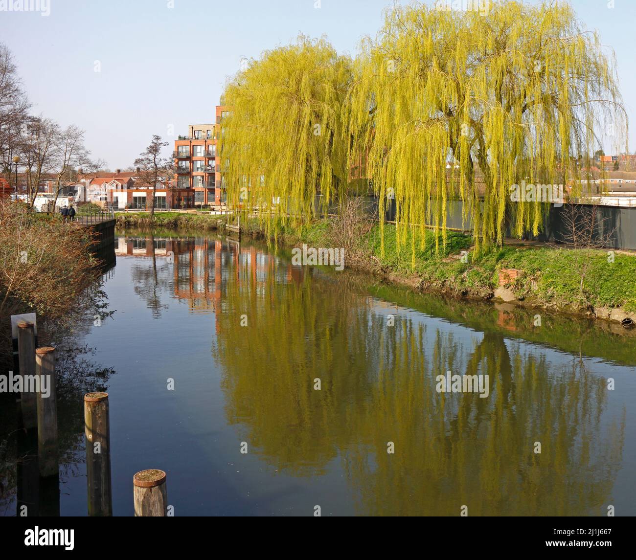 A view of the River Wensum with reflections in Spring upstream of the Jarrold Bridge in the City of Norwich, Norfolk, England, United Kingdom. Stock Photo