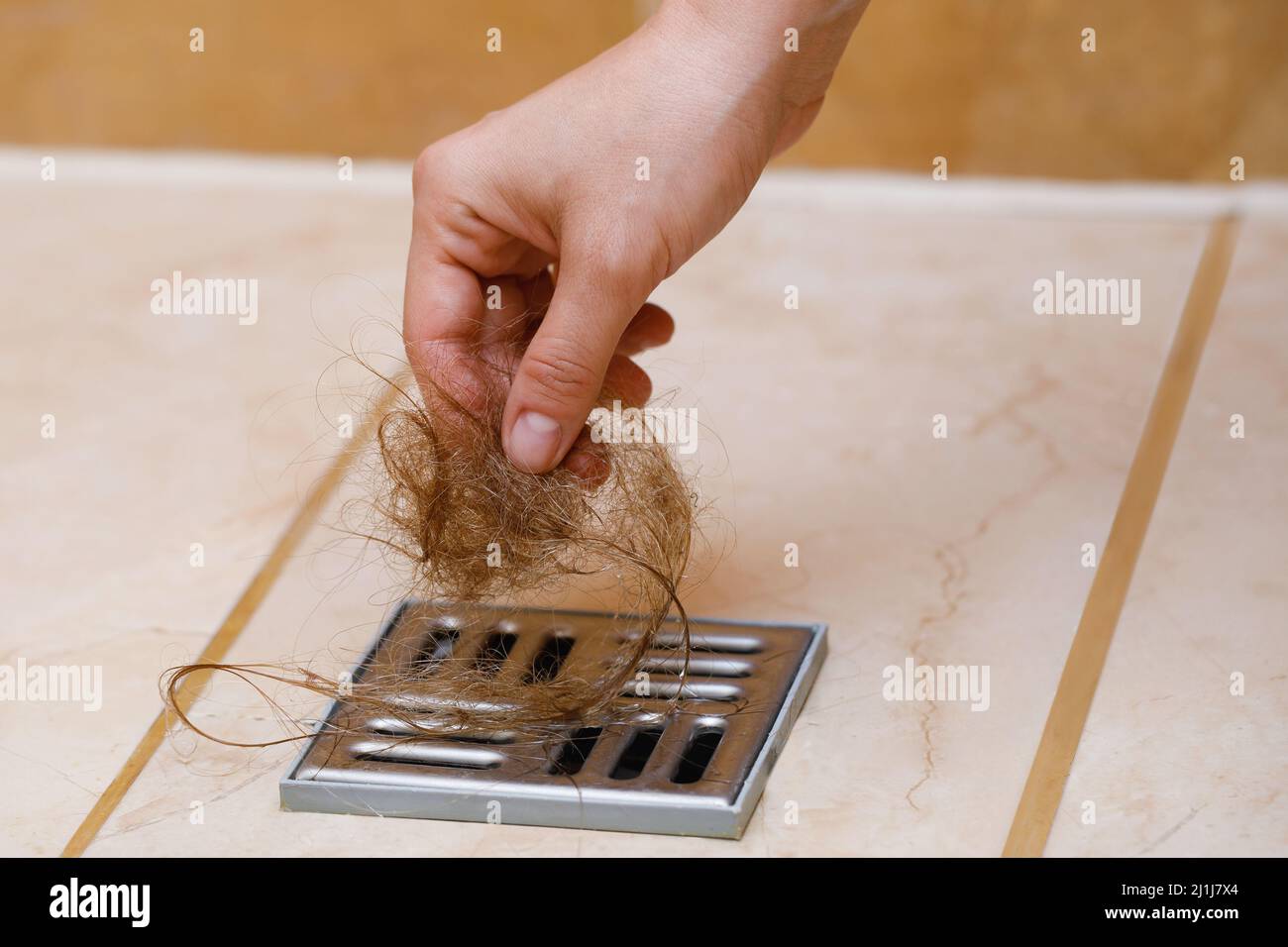Woman removing hair clump from the shower drain Stock Photo Alamy
