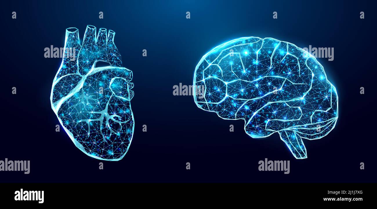 Human heart and brain. Wireframe low poly style. Abstract modern 3d vector illustration on dark blue background. Stock Vector