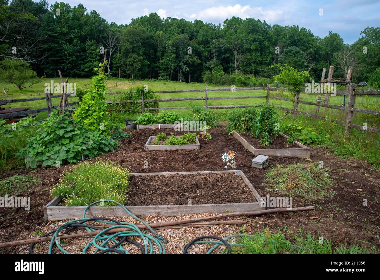 Rustic raised bed vegetable garden with rural nature background Stock Photo - Alamy