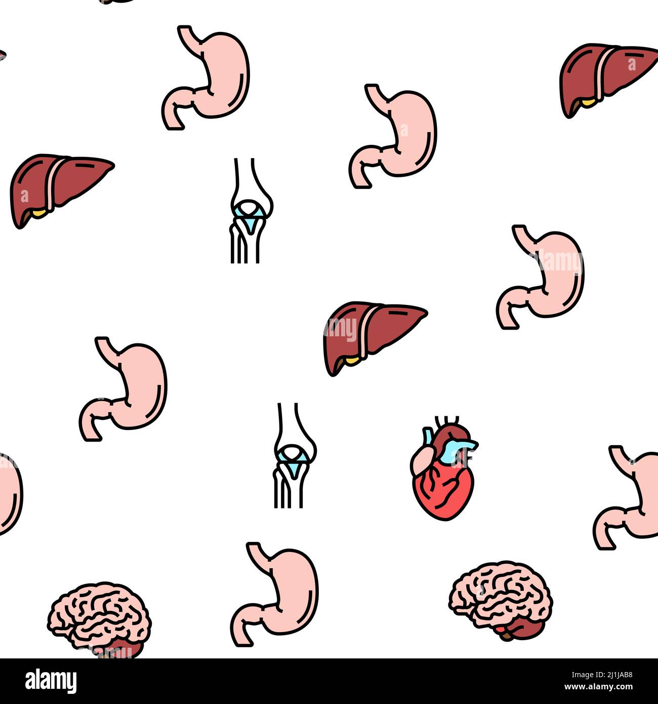 Human Internal Organ Anatomy Vector Seamless Pattern Stock Vector Image ...