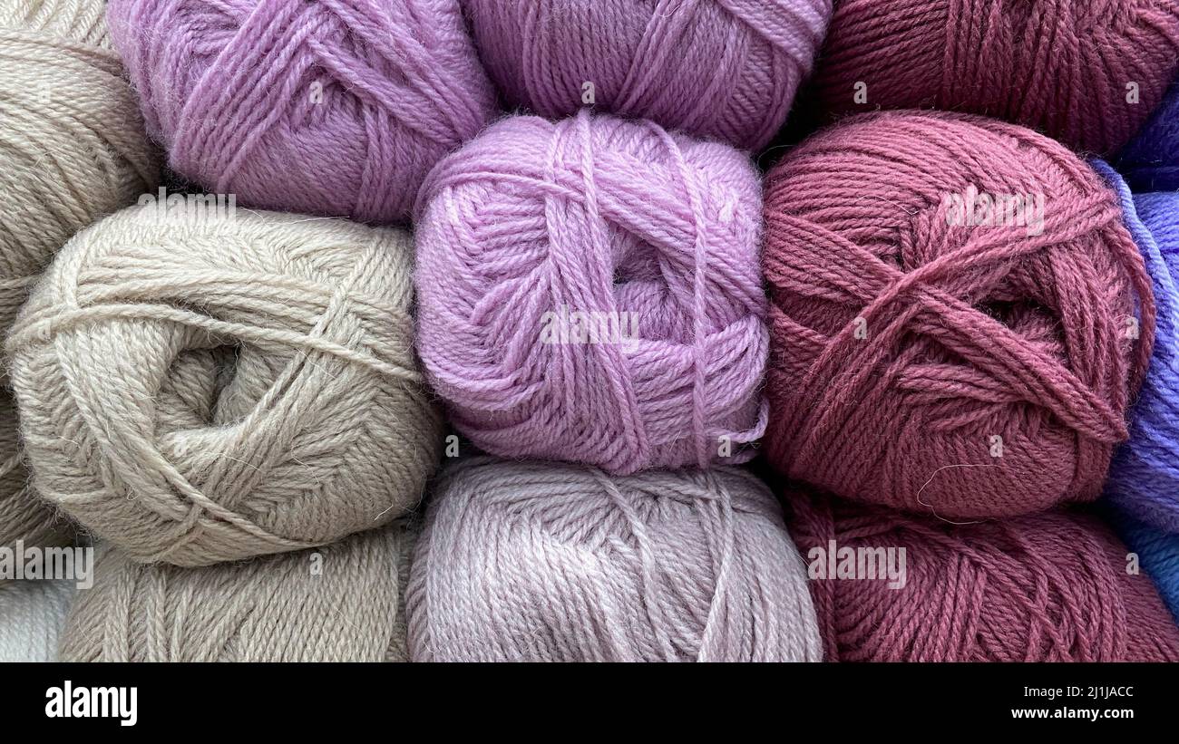 lilac and white range of wool yarn. Multicolored skeins of wool close-up Stock Photo