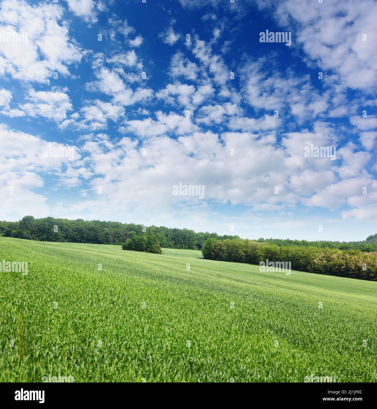 Sunlight in the sky hi-res stock photography and images - Alamy
