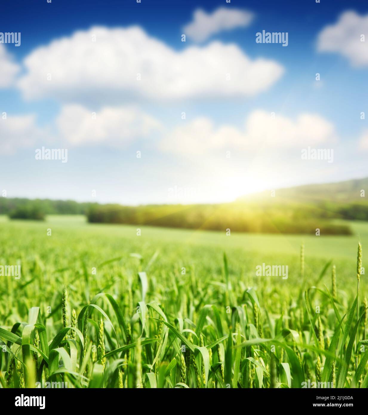 Sunlight in the sky hi-res stock photography and images - Alamy
