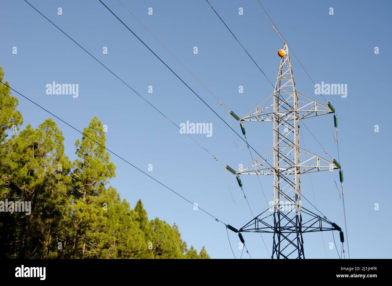Electrical tower in the forest. Tenerife. Canary Islands. Spain Stock