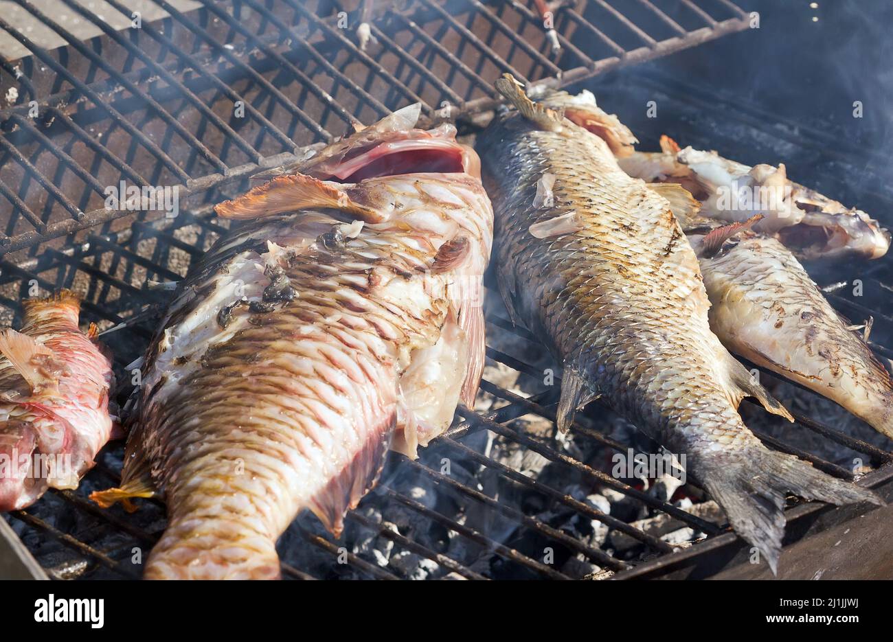 Fish barbecue Stock Photo