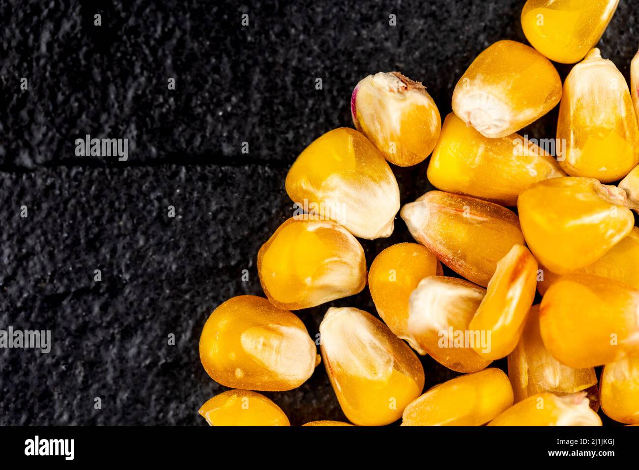 Corn grains on the black, stone background. Object lit with a uniform ...