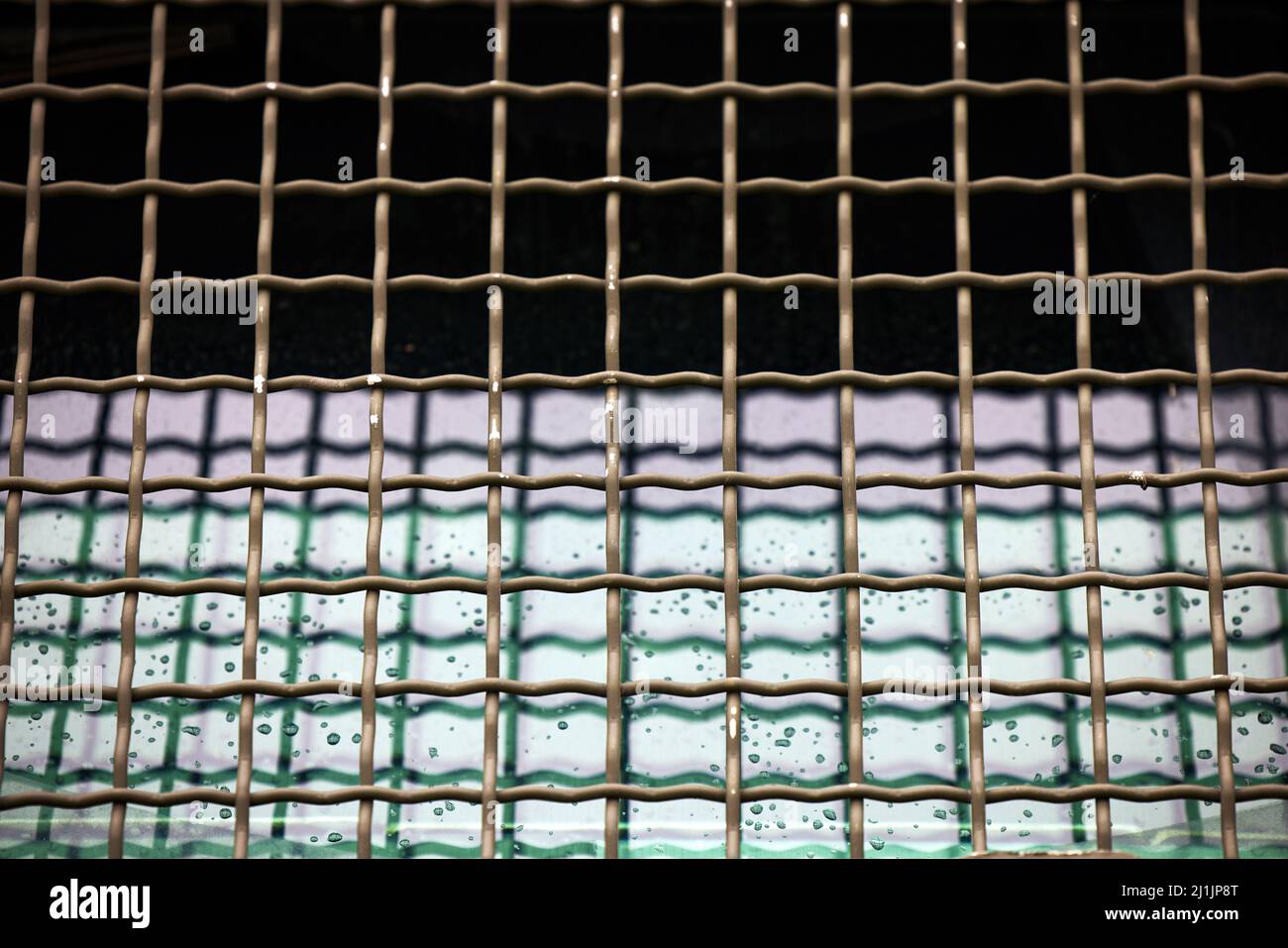 Protective grille on the windshield of an armored car. Police armored