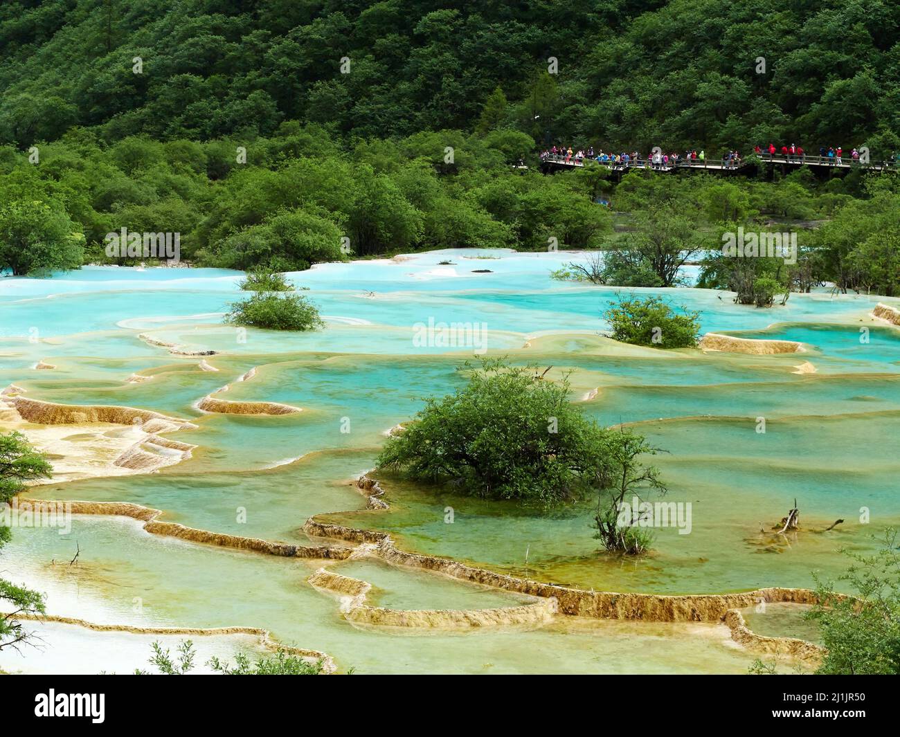 A natural blue pool in Huanglong national park with lush green forests and tourists on a bridge in the background in Sichuan, China Stock Photo