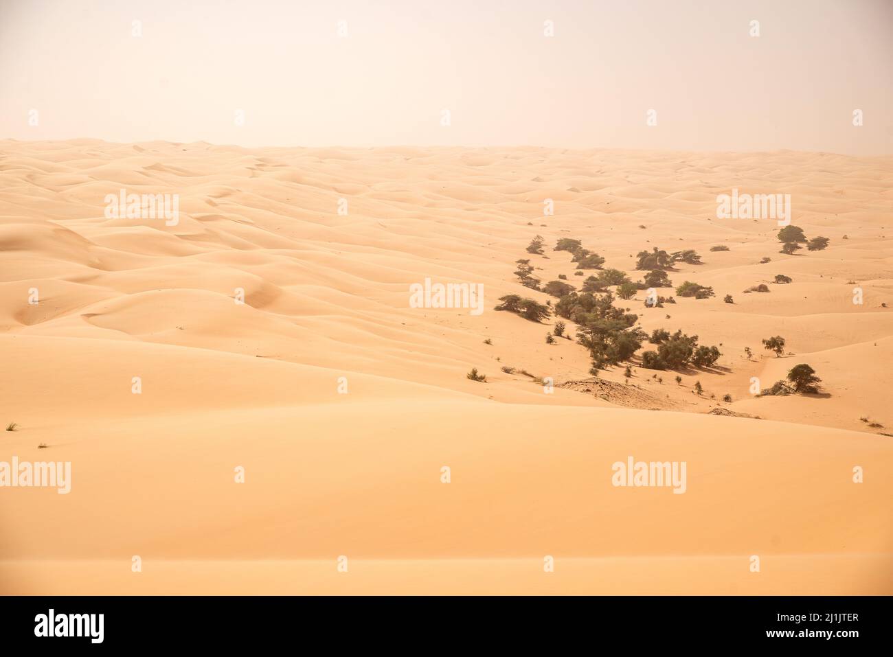 Endless sand dunes of Azoueiga, Erg Amatlich, Adrar Region, Mauritania Stock Photo