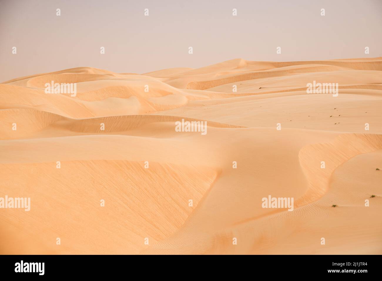 Endless sand dunes of Azoueiga, Erg Amatlich, Adrar Region, Mauritania Stock Photo