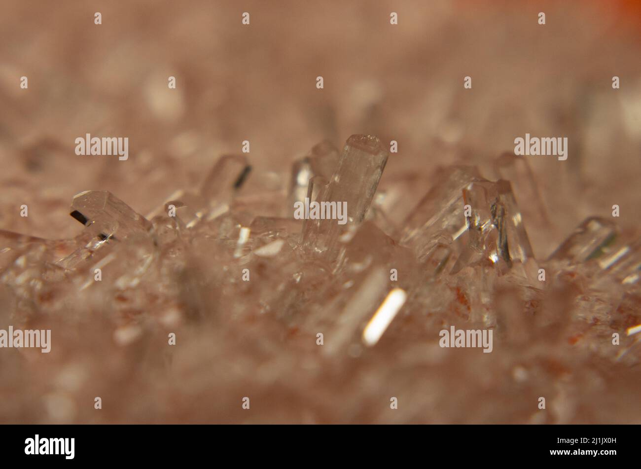 Crystals grown from Epsom Salts Stock Photo Alamy
