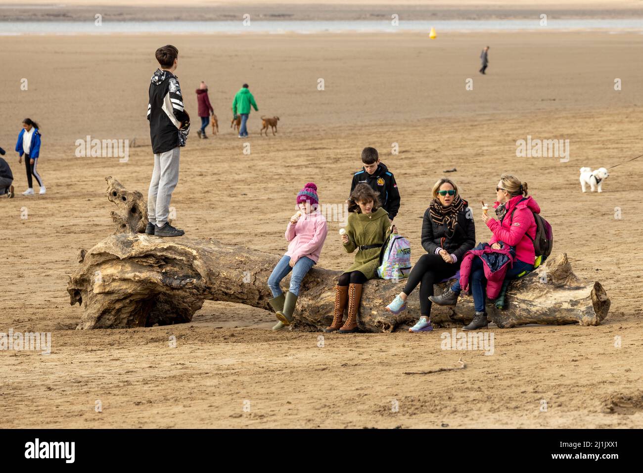 A family sitting on a log on a cold day at the beach Stock Photo