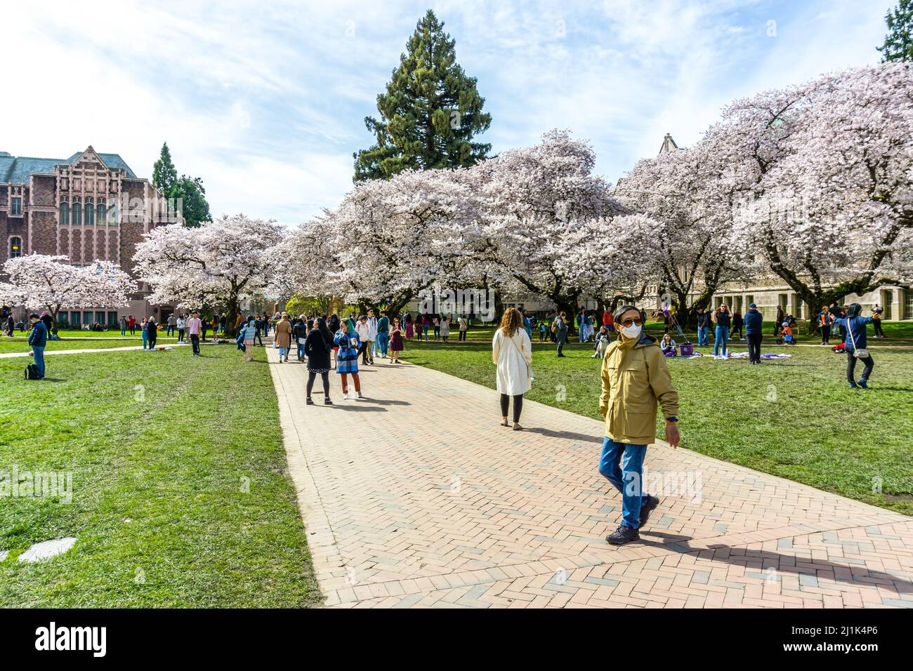 ワシントン大学　ペナント　University of Washington UW_HUB_Photo_Exterior_Benschne
