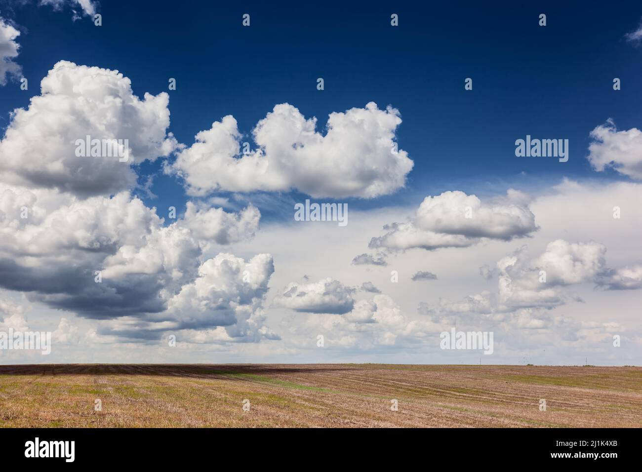 Beautiful view field blue sky hi-res stock photography and images - Alamy