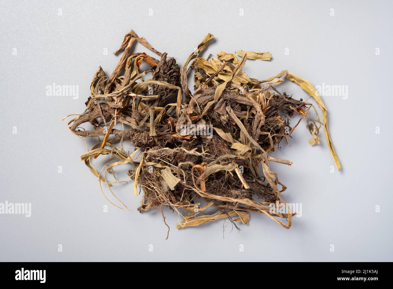 Chinese nardostachys root and rhizome hi-res stock photography and ...