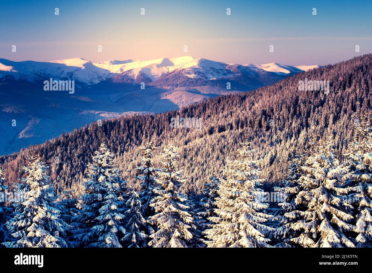 Amazing mountains in the morning sunlight. National Park. Carpathian ...