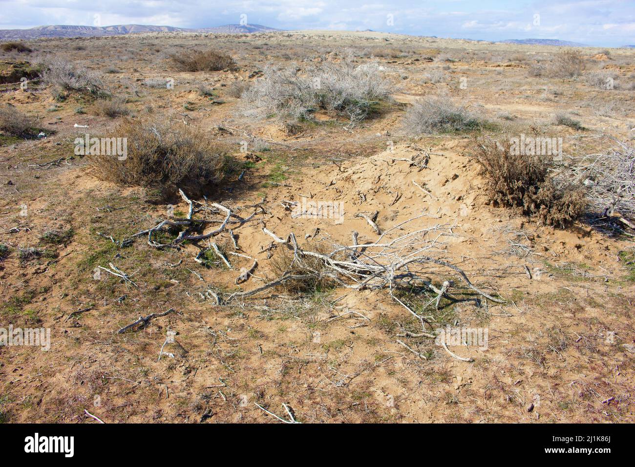 Soil in the Gobustan steppe. Azerbaijan Stock Photo - Alamy