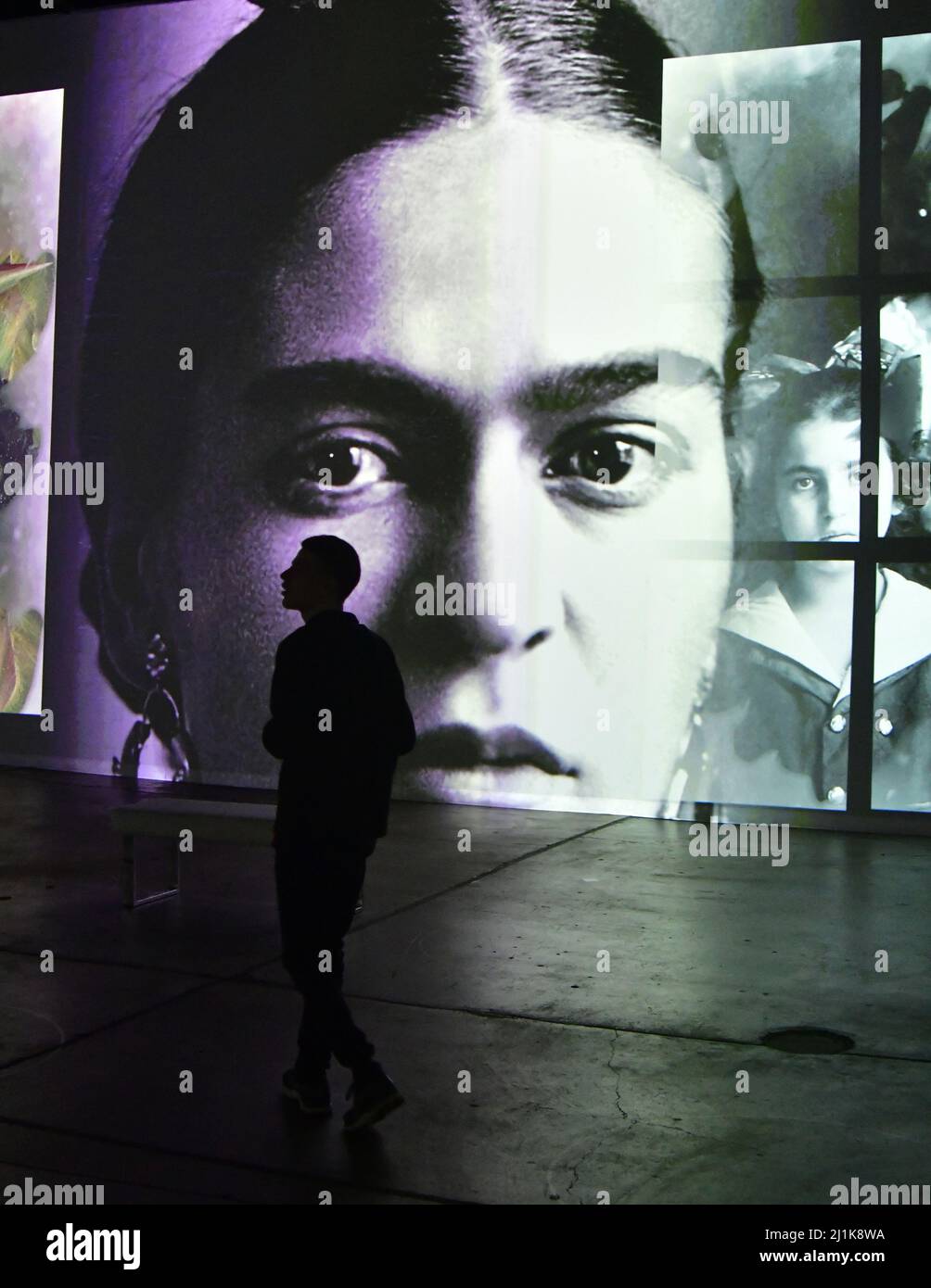 Pittsburgh, USA. 26th Mar, 2022. A guest watches the Immersive Frida