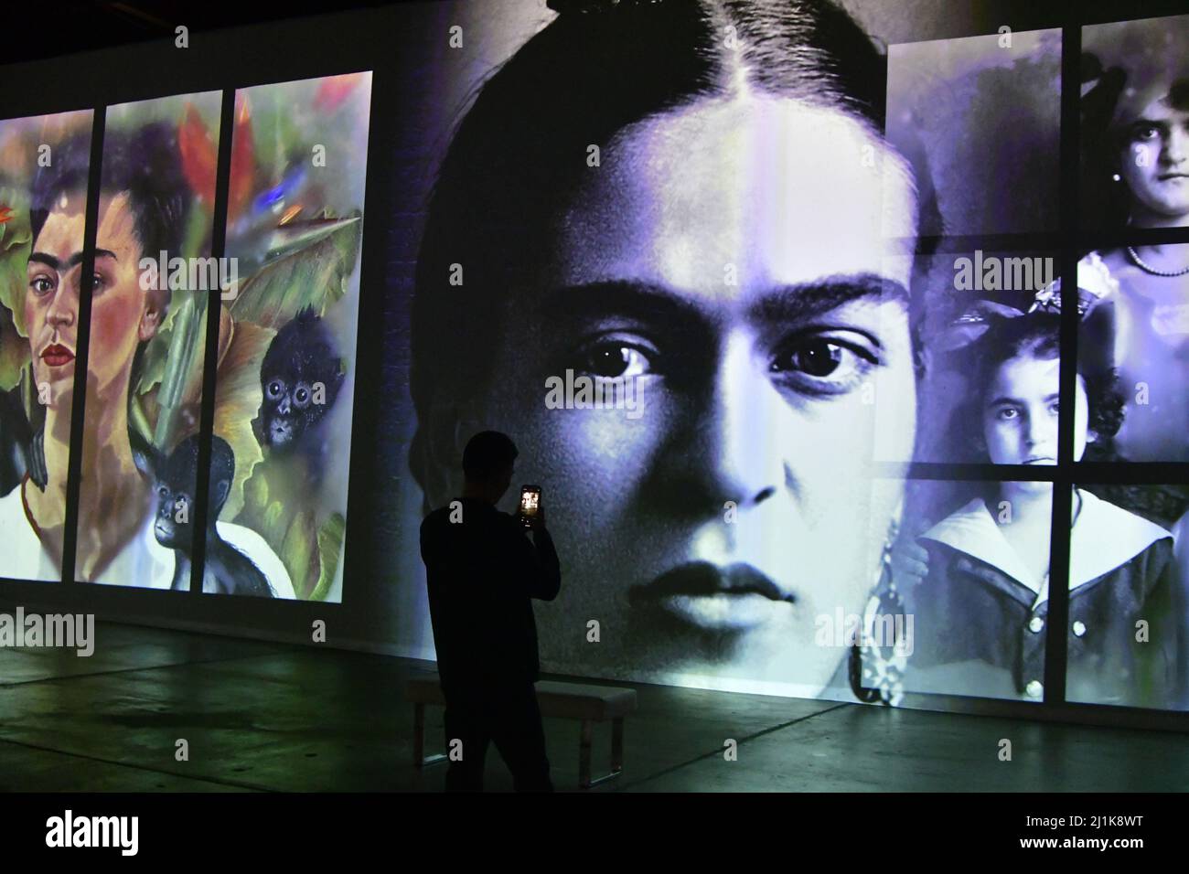 Pittsburgh, USA. 26th Mar, 2022. A guest watches the Immersive Frida