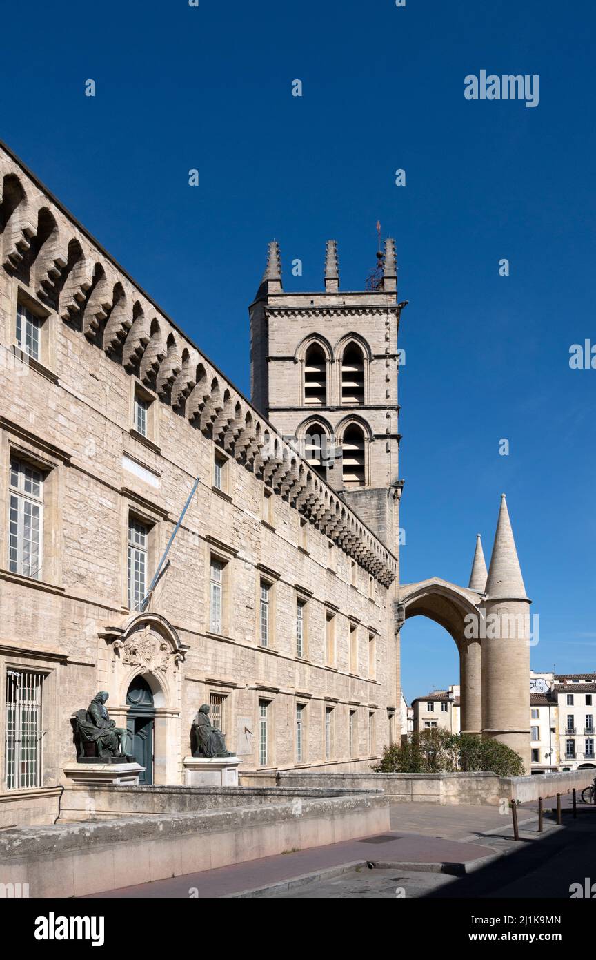 The university of Montpellier boast the world’s oldest medical school. Next to it: Cathédrale Saint-Pierre de Montpellier. Stock Photo