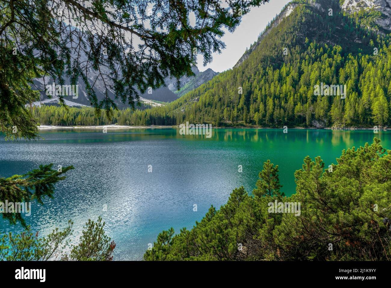 Famous Lake Prags with magical green water in the Dolomites in Italy Stock Photo