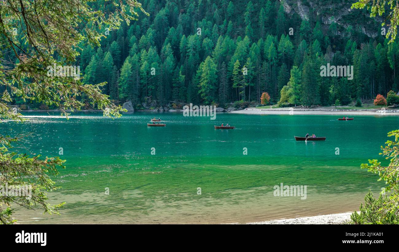 Rowing boats on the green water of famous Lake Prags in the dolomite alps in Italy Stock Photo