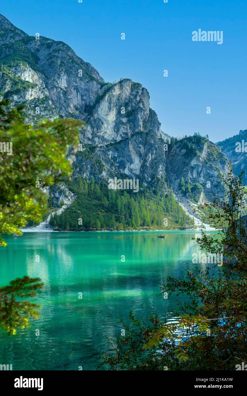 Famous Lake Prags with magical green water in the Dolomites in Italy Stock Photo