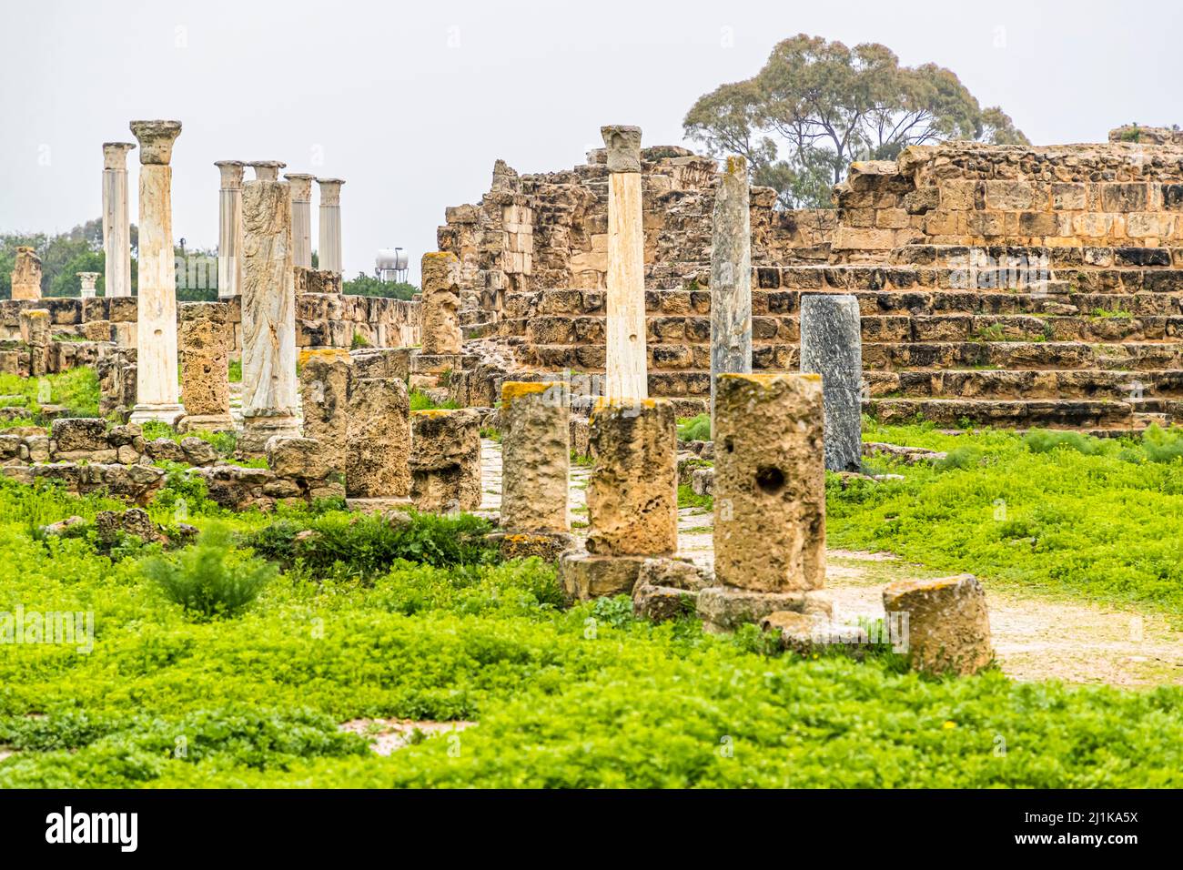 Salamis ruins in Yeni Boğaziçi, Turkish Republic of Northern Cyprus (TRNC) Stock Photo