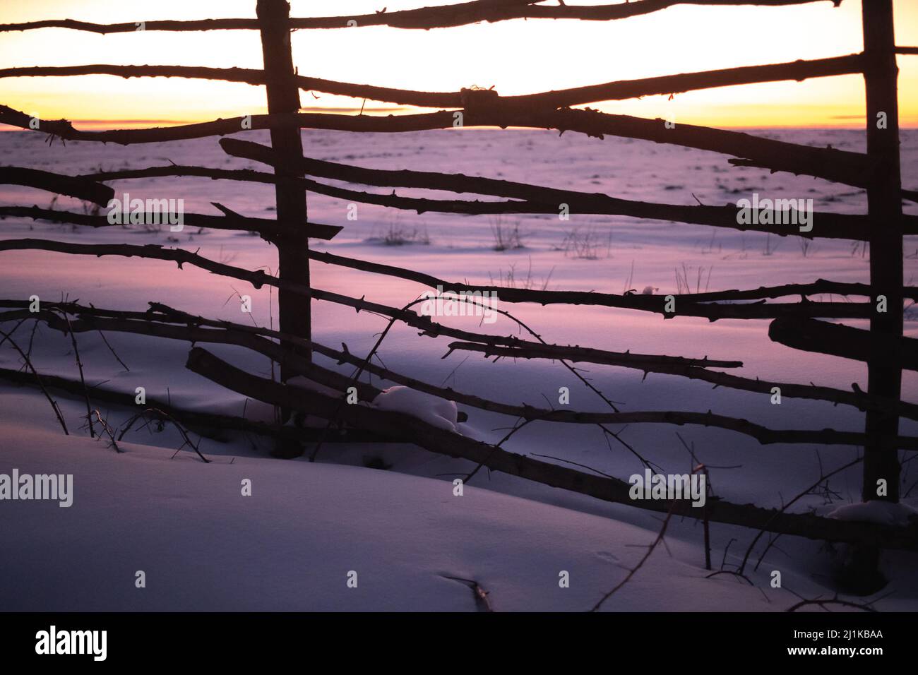 Winter colors in the forest hi-res stock photography and images - Alamy