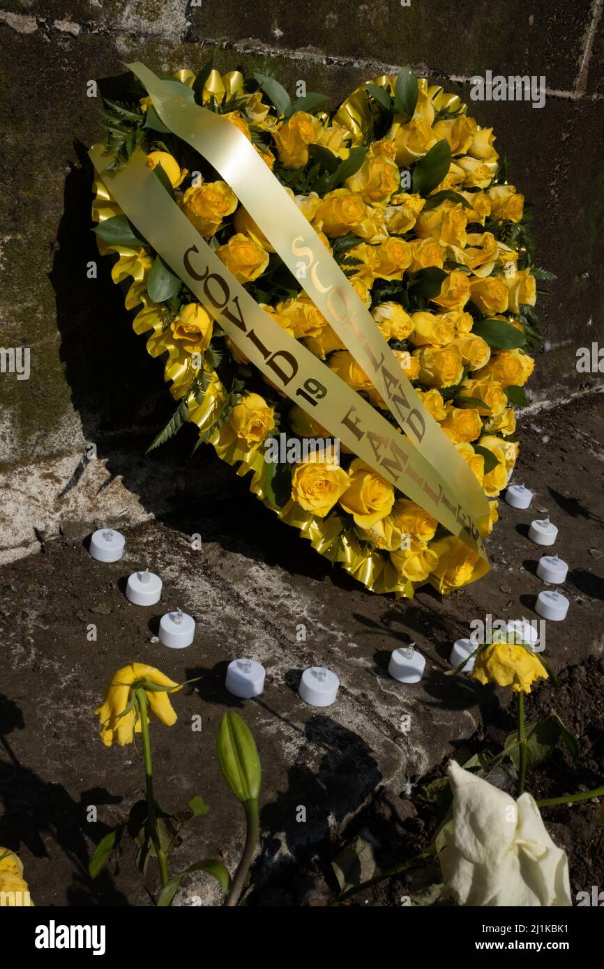 Glasgow, Scotland, 26 March 2022. Flowers for those who lost their life to Covid-19, in George Square, in Glasgow, Scotland, 26 March 2022. Photo credit: Jeremy Sutton-Hibbert/Alamy Live News. Stock Photo