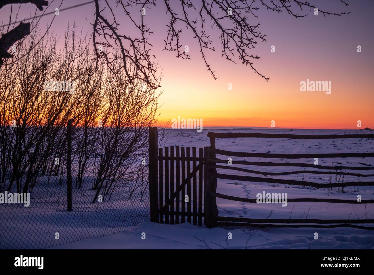 Old wood fence and magic winter sunset, nature background photo Stock Photo