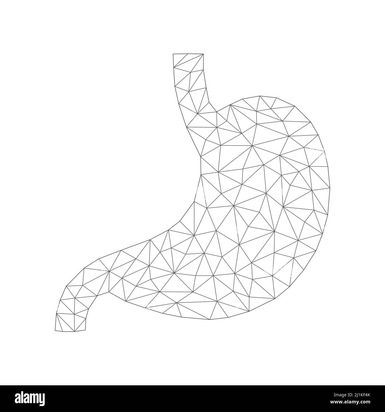 Human stomach with low poly black connected dots. Internal organ with triangular linear shapes. Stock Vector