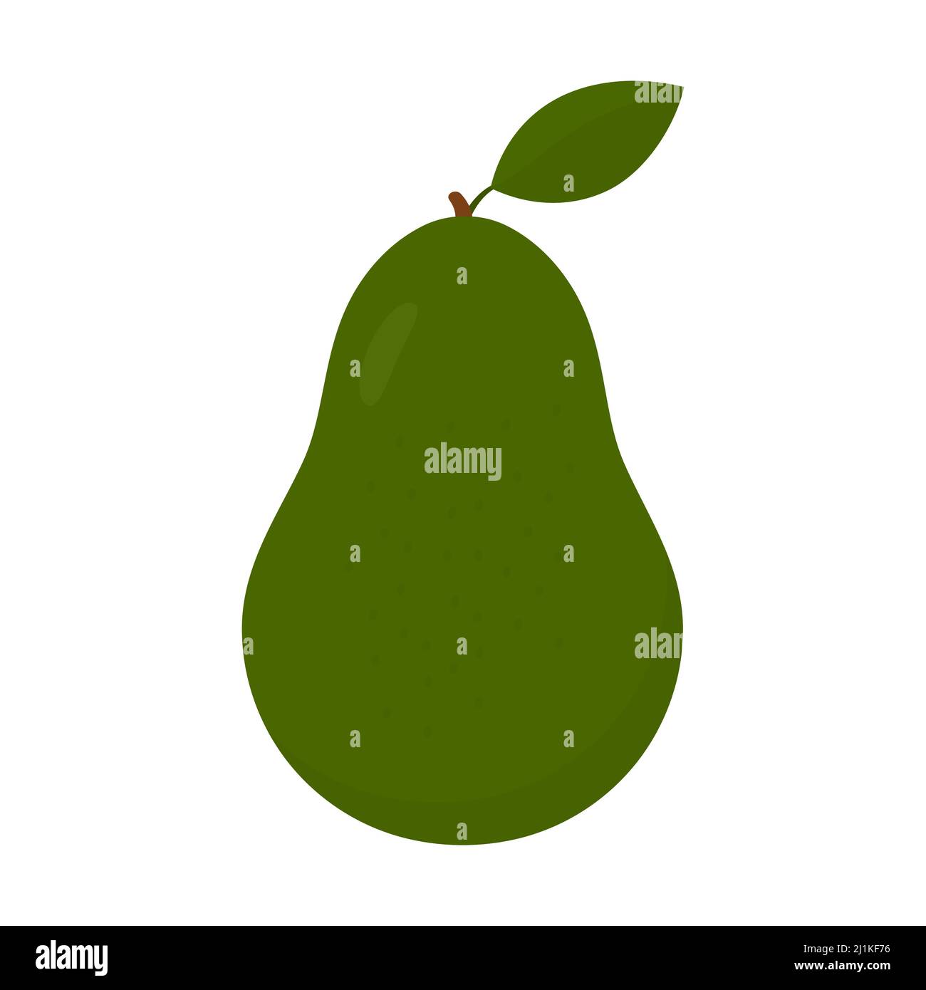 Avocado fruit. Whole avocado with green leaf. Vector isolated on white. Stock Vector