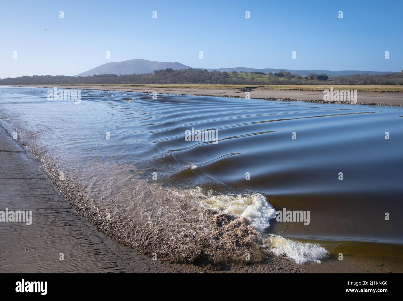 The tidal bore rushing past the village of Glencaple, Dumfries and Galloway, Scotland. Stock Photo