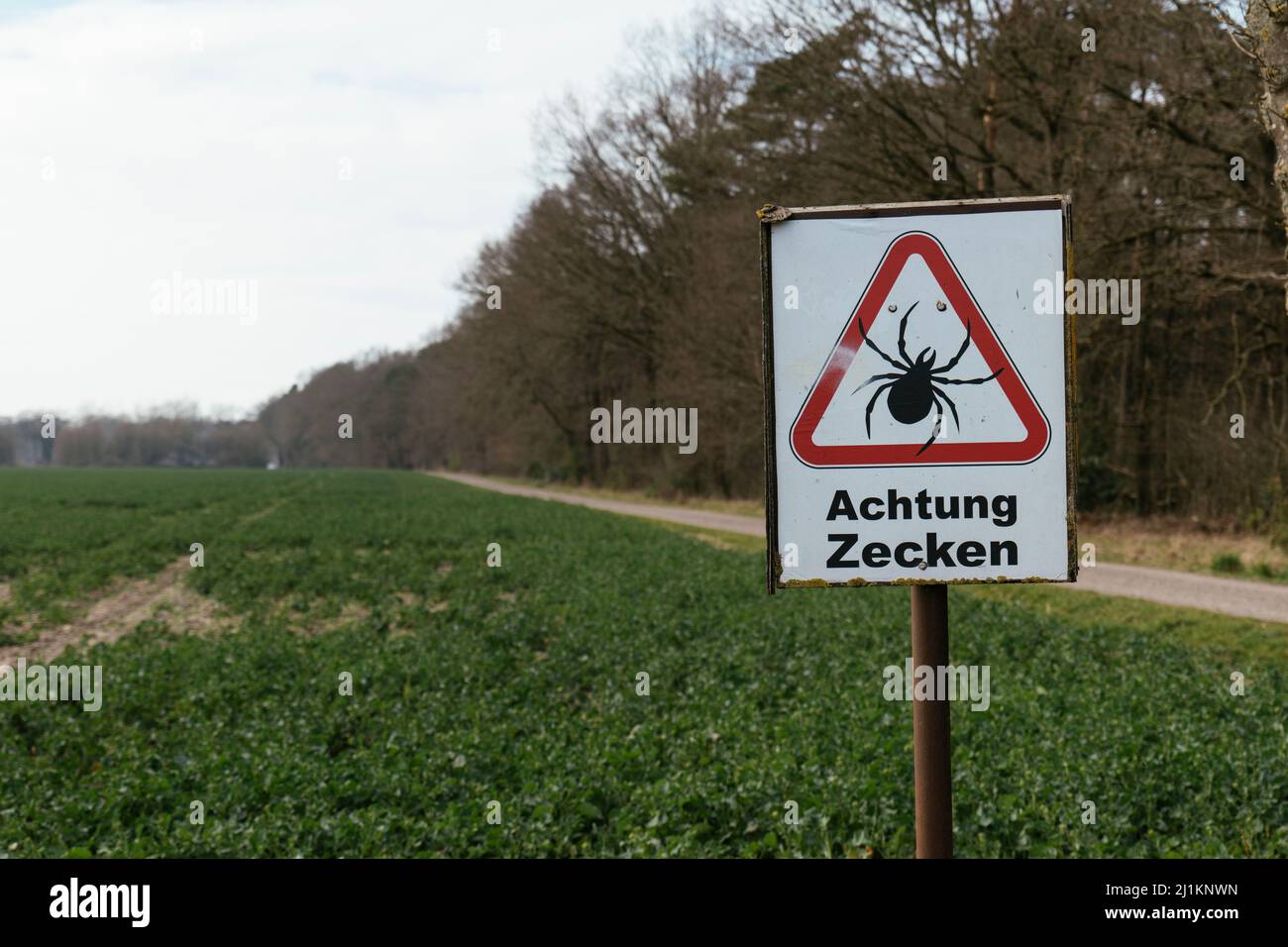 Warning sign against ticks in a forest area in Germany near Petershagen. Stock Photo