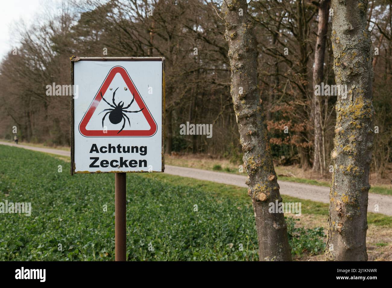 Warning sign against ticks in a forest area in Germany near Petershagen. Stock Photo