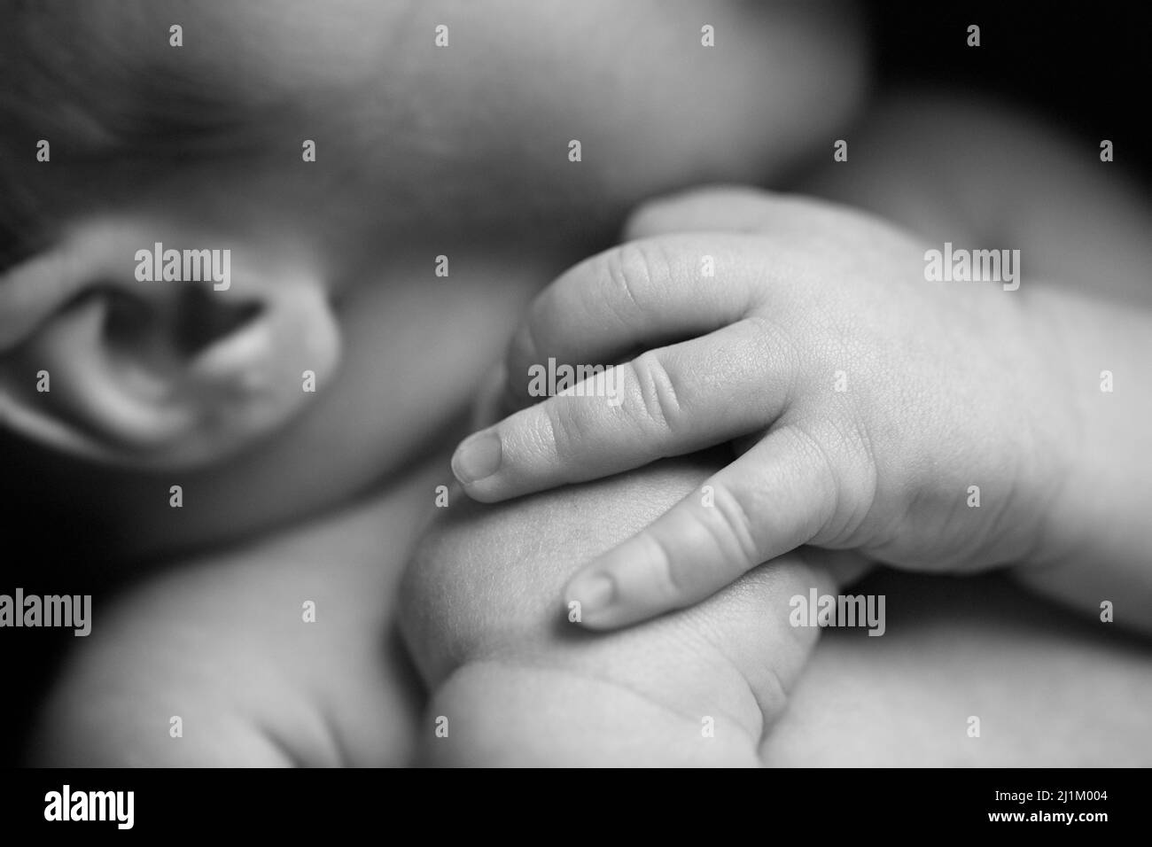 Close up Detail View of a Newborn Baby Stock Photo