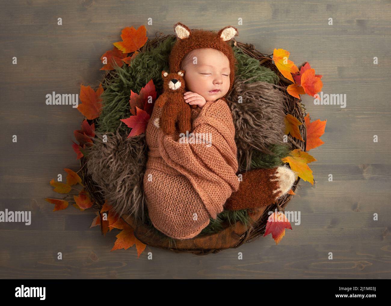 Studio Portrait of a Swaddled Newborn Stock Photo