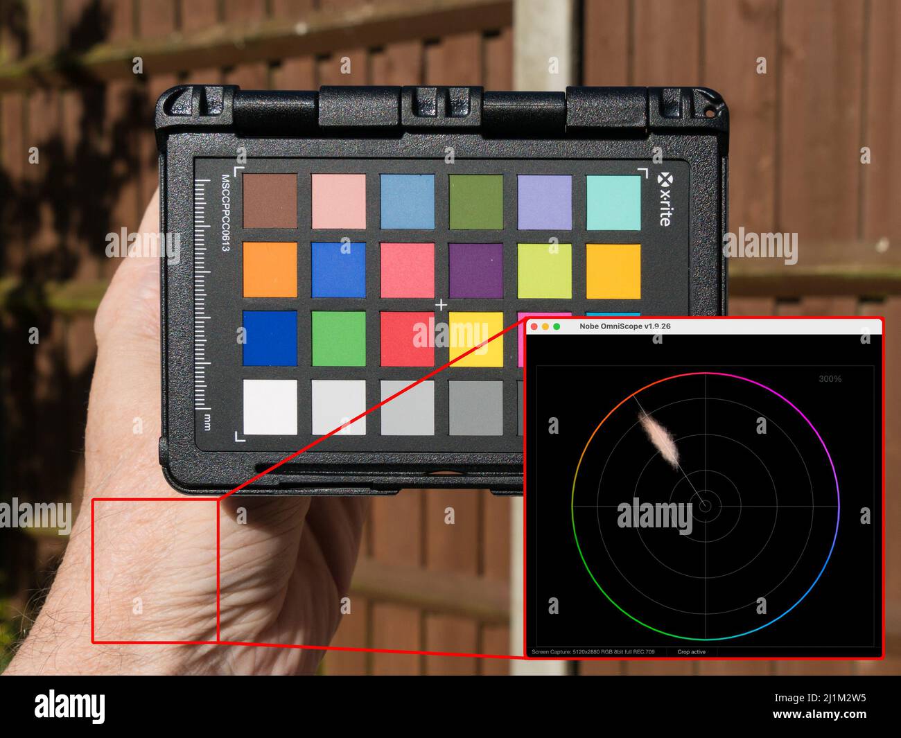 Image illustrates adjusting the white balance of an image using a Nobe Omniscope Vectorscope until skin colours lie on the skin hue line Stock Photo
